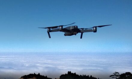 Des drones au secours des forêts malgaches