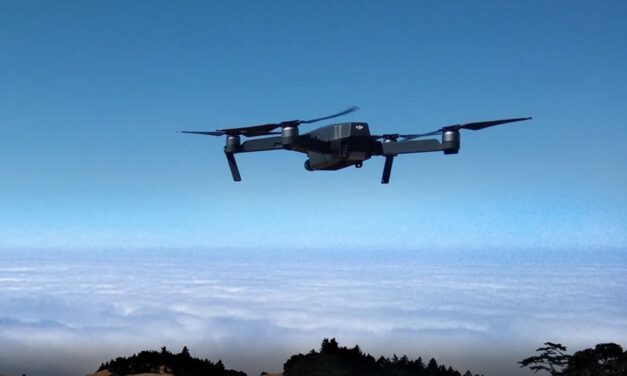 Des drones au secours des forêts malgaches