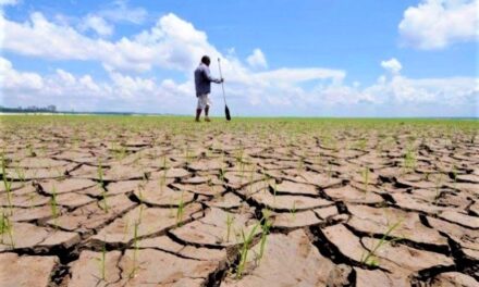 Une assurance pour les agriculteurs victimes de la sécheresse
