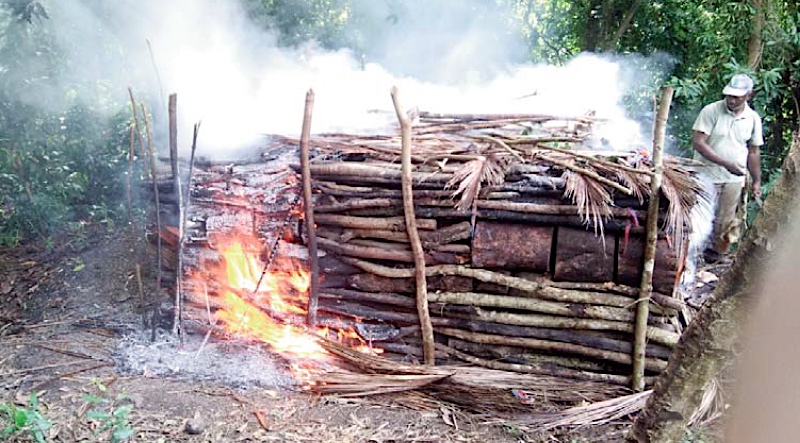 Un réseau de charbon de bois illégal démantelé
