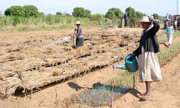 What solutions to ‘kere’ in the south?