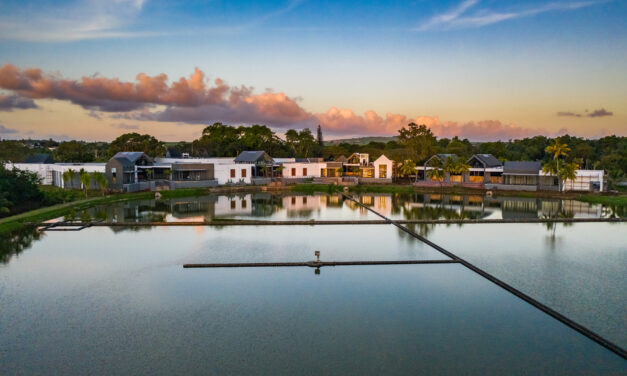 Mahogany Shopping Promenade to open soon