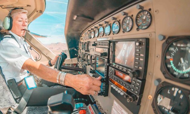 Air Seychelles: 11 pilots terminated