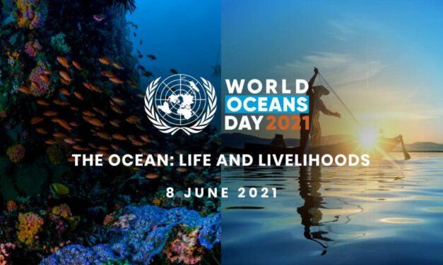 Political commitments on World Oceans Day