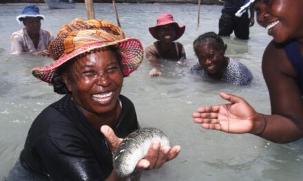 Aqua Spark lance un fonds d’investissement pour l’aquaculture