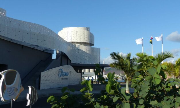 Odysseo : more than oceanarium !