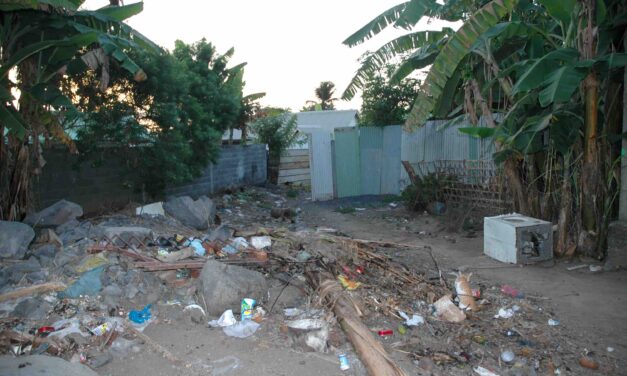 Mayotte ” The island of waste perfumes “.