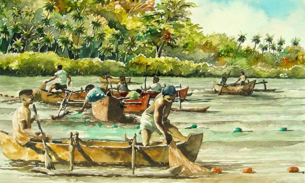 Mayotte: the Marine Natural Park calls for an end to seine fishing