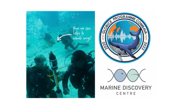A first in Mauritius: the installation of a hydrophone to record whale songs