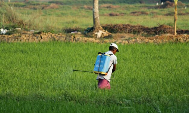 The scourge of pesticides overuse in Mauritius