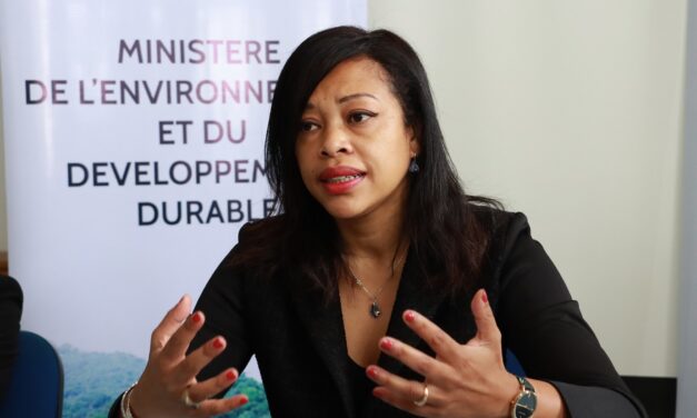 Deforestation in Madagascar: how to reforest 75,000 hectares per year?