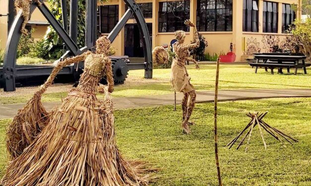 Sugar cane in all its forms.