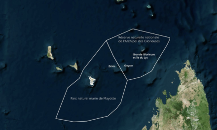 Une mission pour mieux connaître les récifs au nord de Mayotte