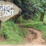 Wildlife Conservation Society soutient les communautés rurales riveraines de parcs nationaux rwandais