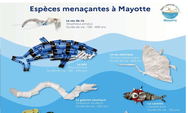 The friendly campaign of the Marine Park