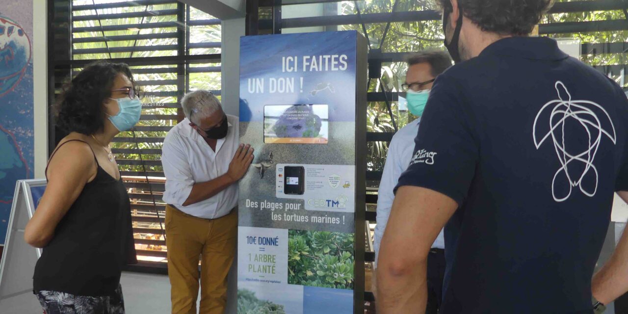 Des bornes interactives pour les tortues marines réunionnaises !