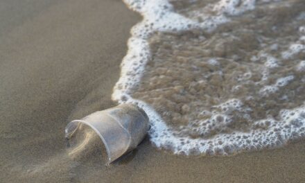 La MCCI publie une feuille de route pour lutter contre la pollution plastique