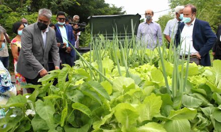 Vivo Energy Mauritius fait le plein d’agroécologie