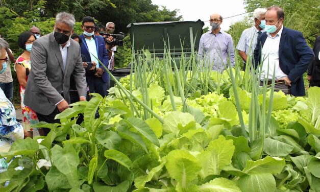 Vivo Energy Mauritius fait le plein d’agroécologie