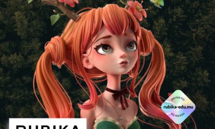 RUBIKA, the 1st French school in 2D 3D animation, offers financial facilities for its launch.