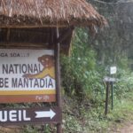 Madagascar National Parks : le pilier du tourisme vert