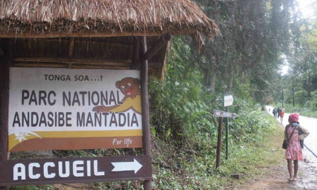 Madagascar National Parks : le pilier du tourisme vert