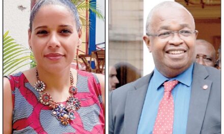 Mayotte : Estelle Youssouffa et Mansour Kamardine, élus députés