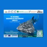 Un concours d’images sous-marines d’envergure internationale à La Réunion