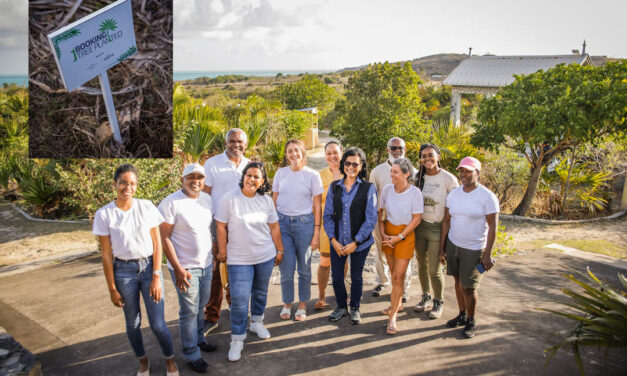 Rodrigues : le Tekoma Boutik Hotel engagé dans la reforestation