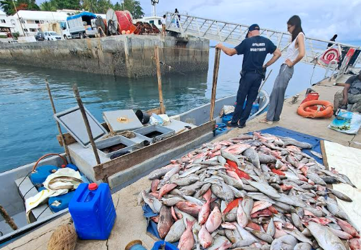 Mayotte : saisie de 3,5 tonnes de poissons malgaches