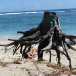 Erosion littorale : le PAPI prend un coup de vieux !
