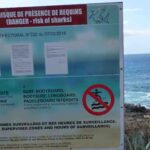 Requins : revers judiciaire pour la préfecture de La Réunion.