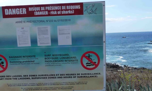 Requins : revers judiciaire pour la préfecture de La Réunion.
