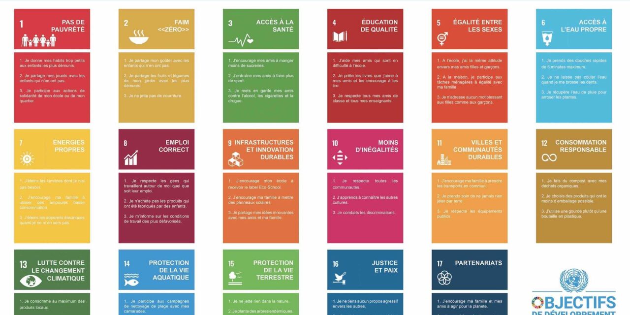 “I’m taking action for the planet”: a card game on the SDGs