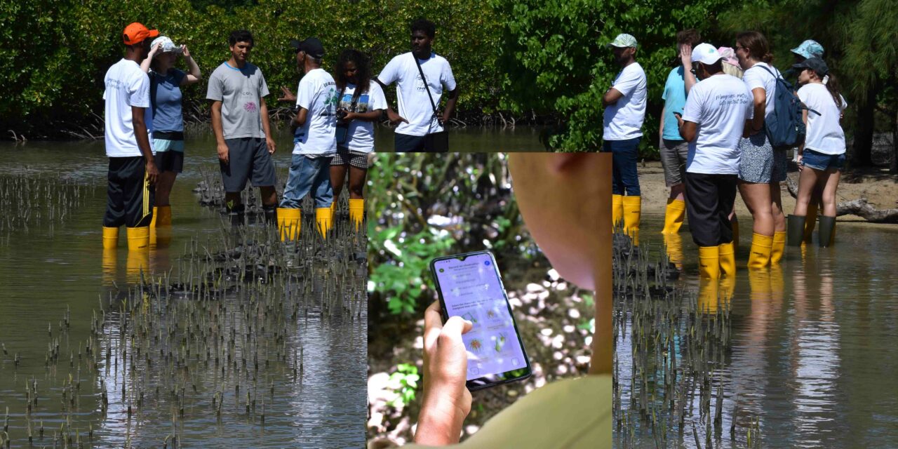Reef Conservation launches app to save mangroves