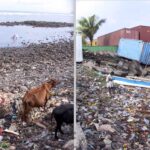 L’Ile d’Anjouan étouffée par le plastique.
