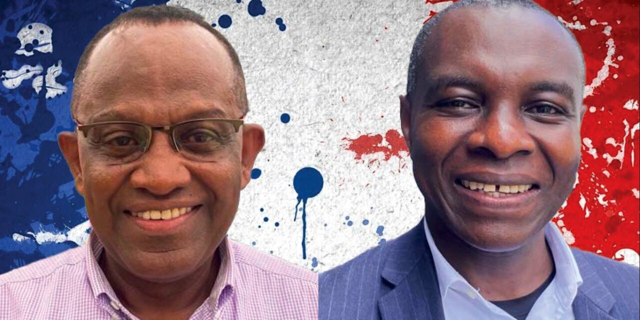 Saïd Omar Oili et Zaidou Tavanday sénateurs de Mayotte