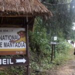 RSE à Madagascar : les grands groupes en pole position