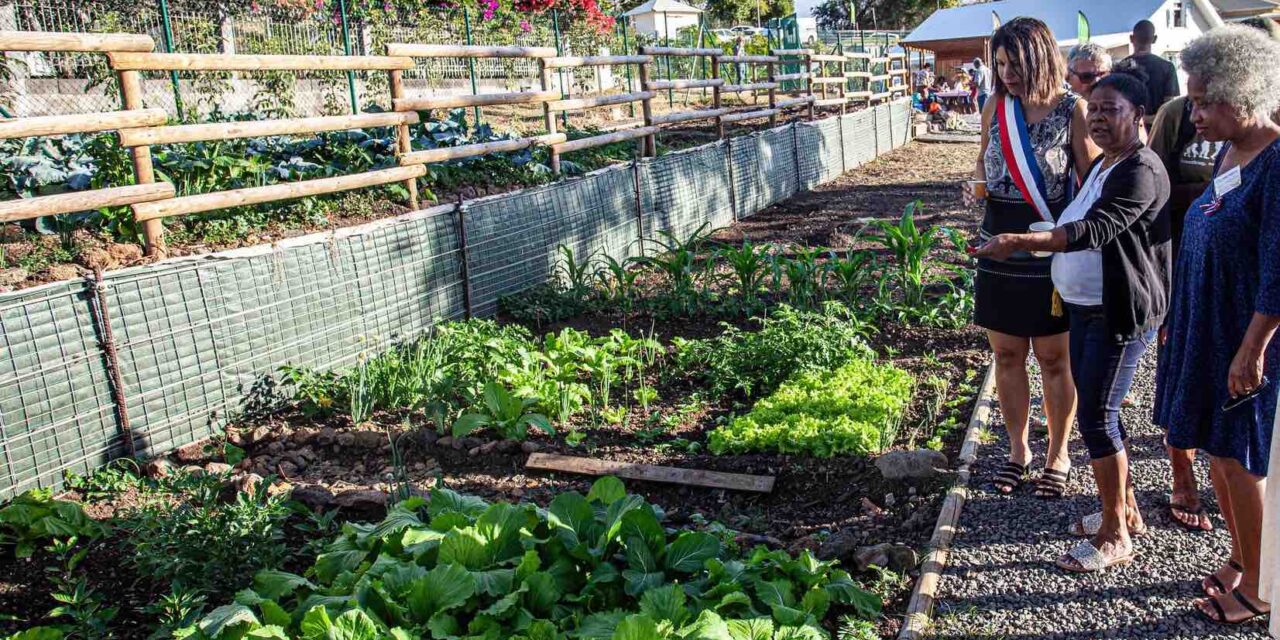 Les jardins partagés de la ville de La Possession