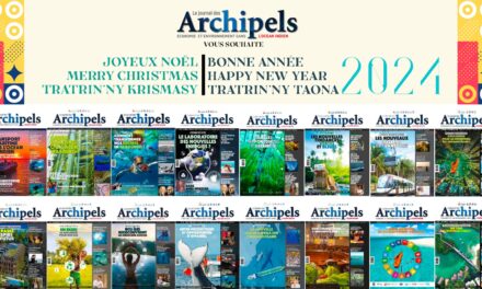Happy new year, bonne année, tatrin’ny taona !