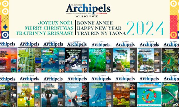 Happy new year, bonne année, tatrin’ny taona !