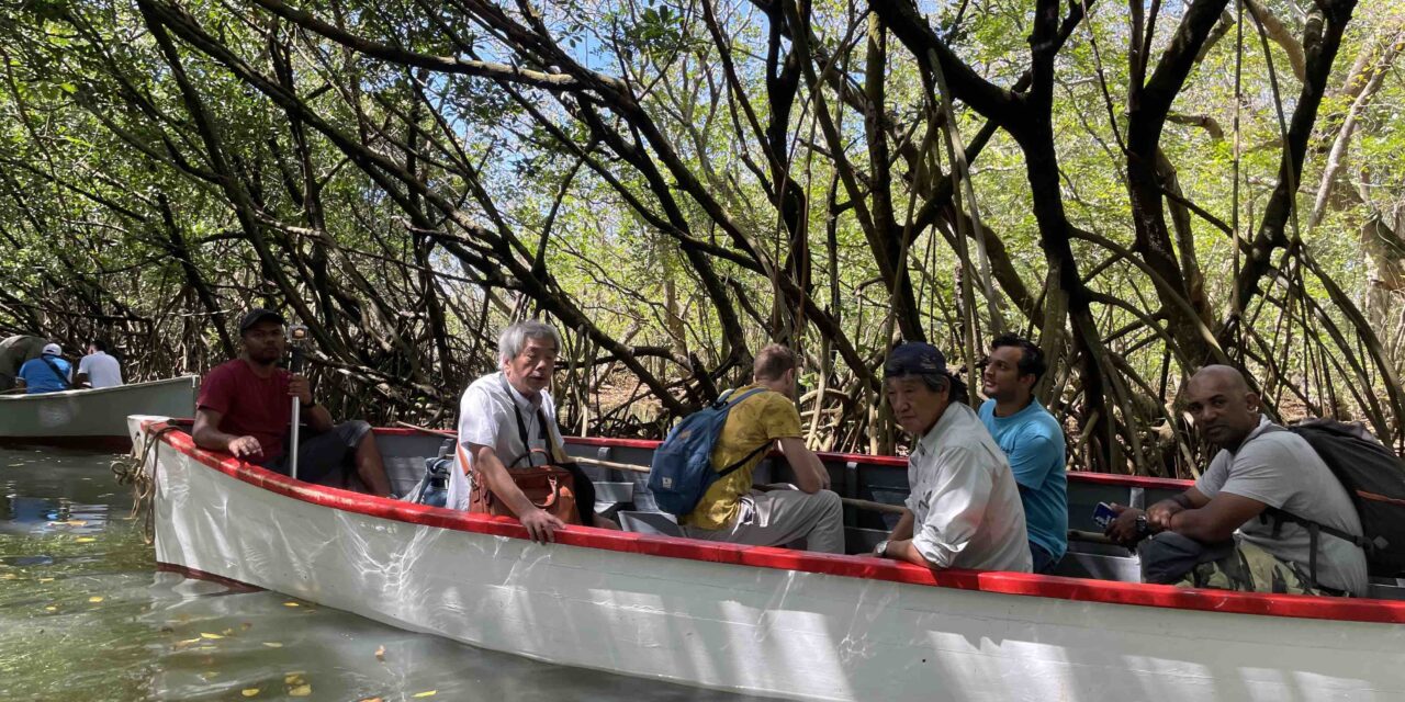 Lancement de « SOS Mangrove » dans le sud de Maurice