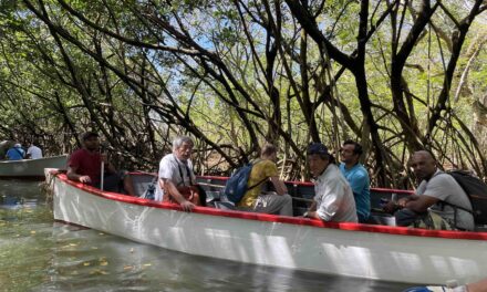 Lancement de « SOS Mangrove » dans le sud de Maurice