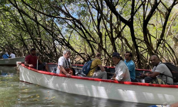 SOS Mangrove” launched in southern Mauritius