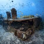 Register now for the Festival International of Underwater Pictures in Mayotte!