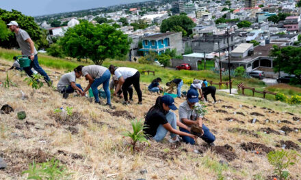 C-Care plante un arbre pour chaque naissance