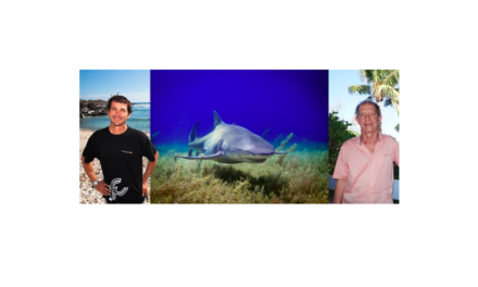 Crise requins: parole aux deux “frères ennemis”