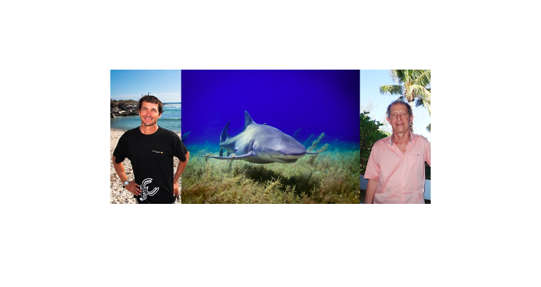 Crise requins: parole aux deux “frères ennemis”