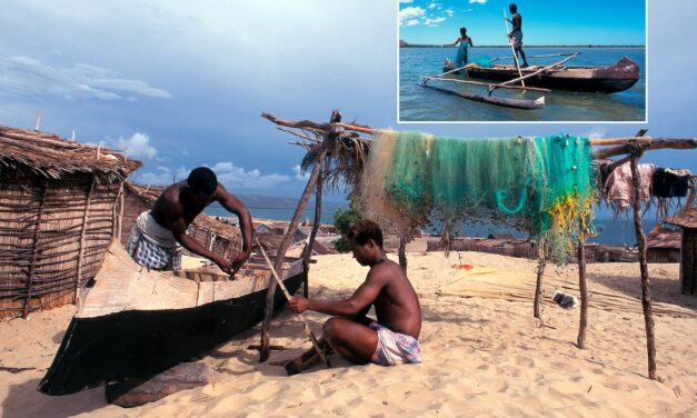 Seychelles/Comores : accord contre la pêche illégale