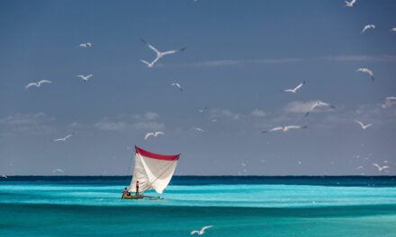 Blue Ventures : le lien entre communautés côtières malgaches et marchés internationaux.